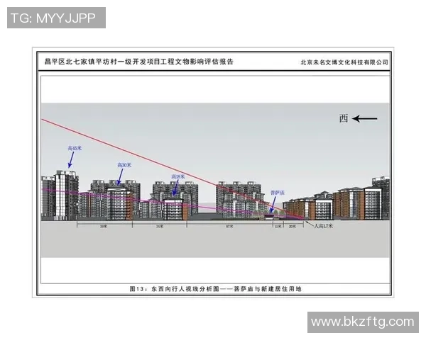 重庆极限运动队状态分析及表现评估研究报告
